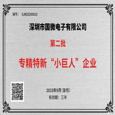 2023年9月，國微電子被工業和信息化部中小企業局再次認定為國家級專精特新重點“小巨人”企業